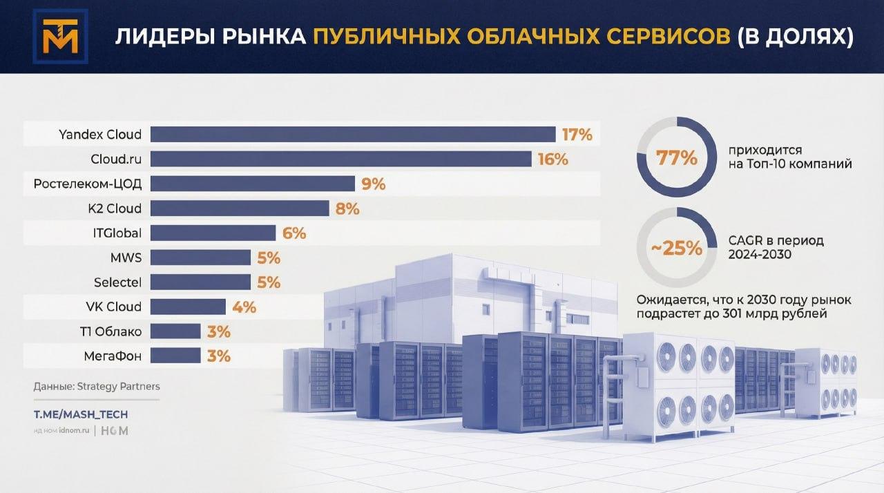 Лидеры рынка публичных облачных сервисов в России (2024) Лидеры рынка публичных облачных сервисов в России (2024)