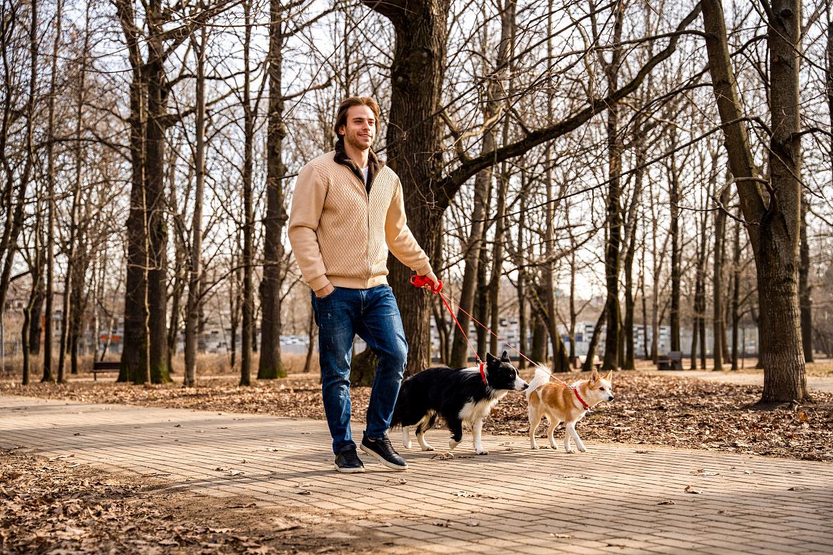 Москва создаёт комфортную инфраструктуру для владельцев домашних животных