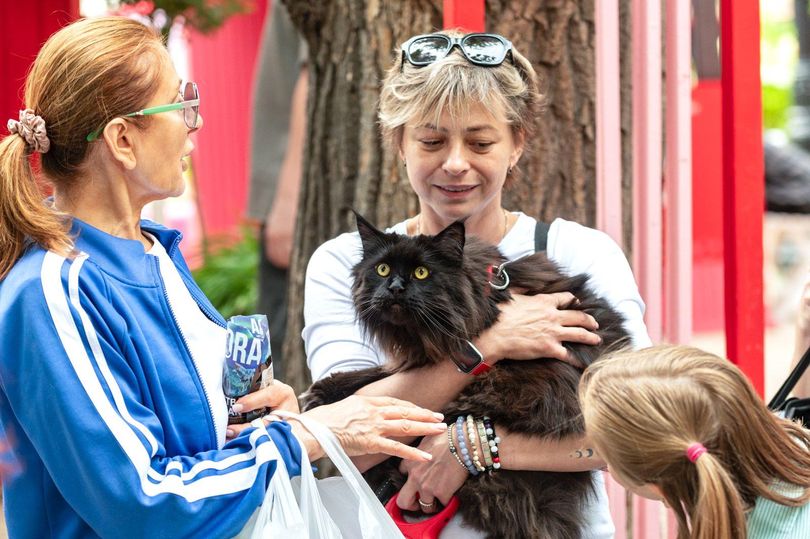 Мэрия Москвы делает всё необходимое для обеспечения комфорта домашних животных и их владельцев