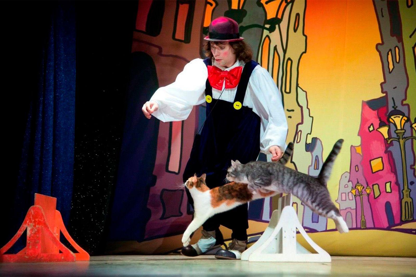 Театр кошек Куклачёва
