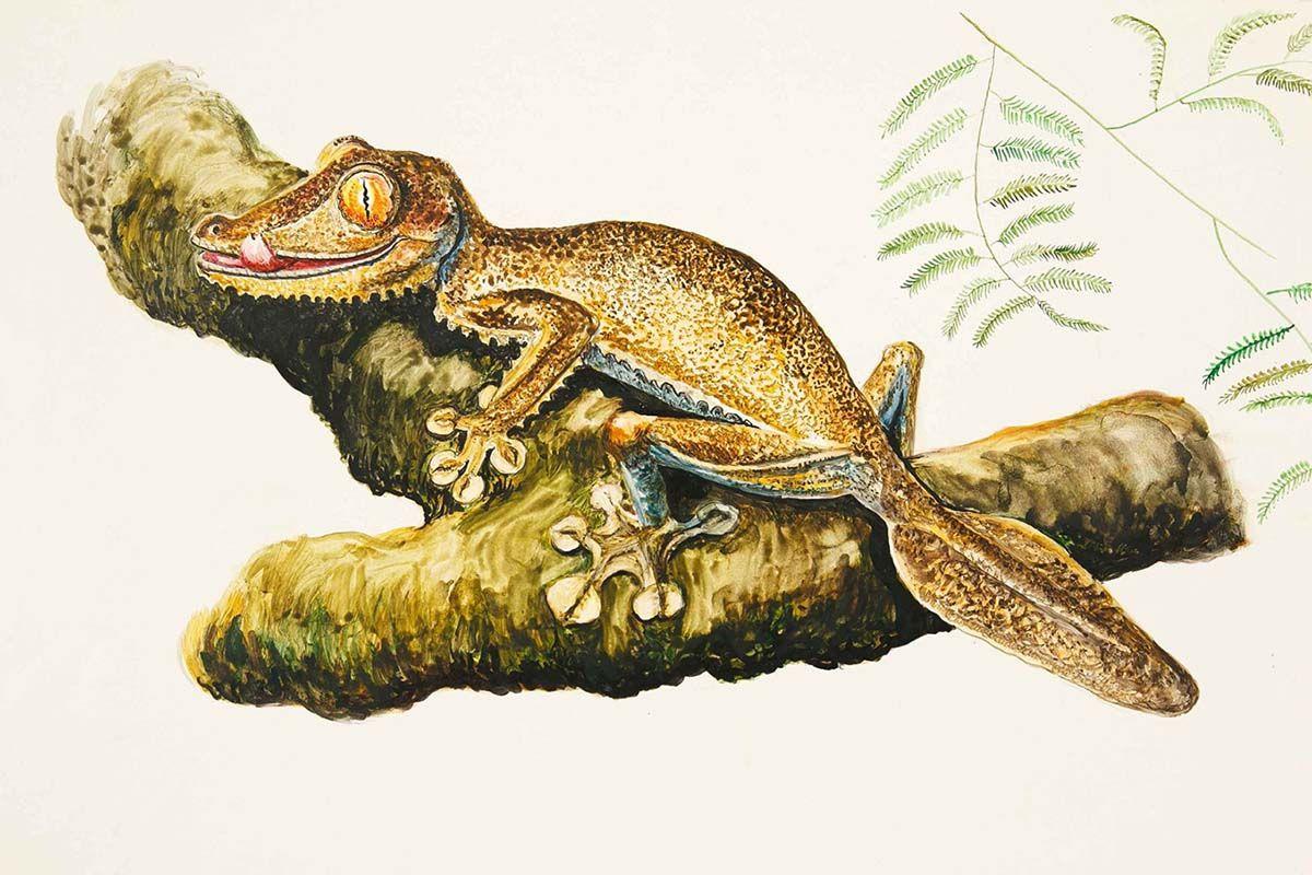 Дарвиновский музей проводит выставку об искусстве мимикрии