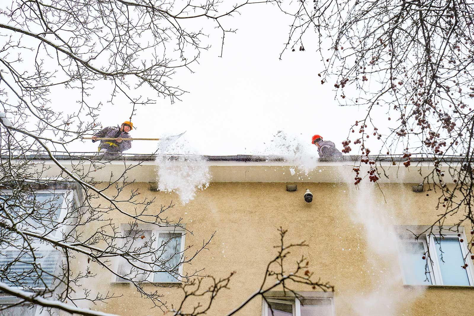 Фото: foto.mos.ru