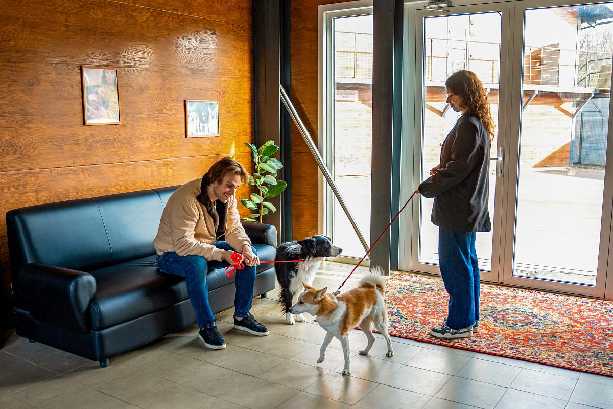 Москва ежегодно совершенствует инфраструктуру и сервисы для владельцев домашних животных