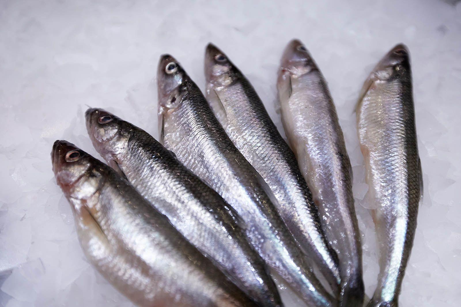 Качество продукции на рыбных рынках "Москва – на волне" гарантировано лабораториями