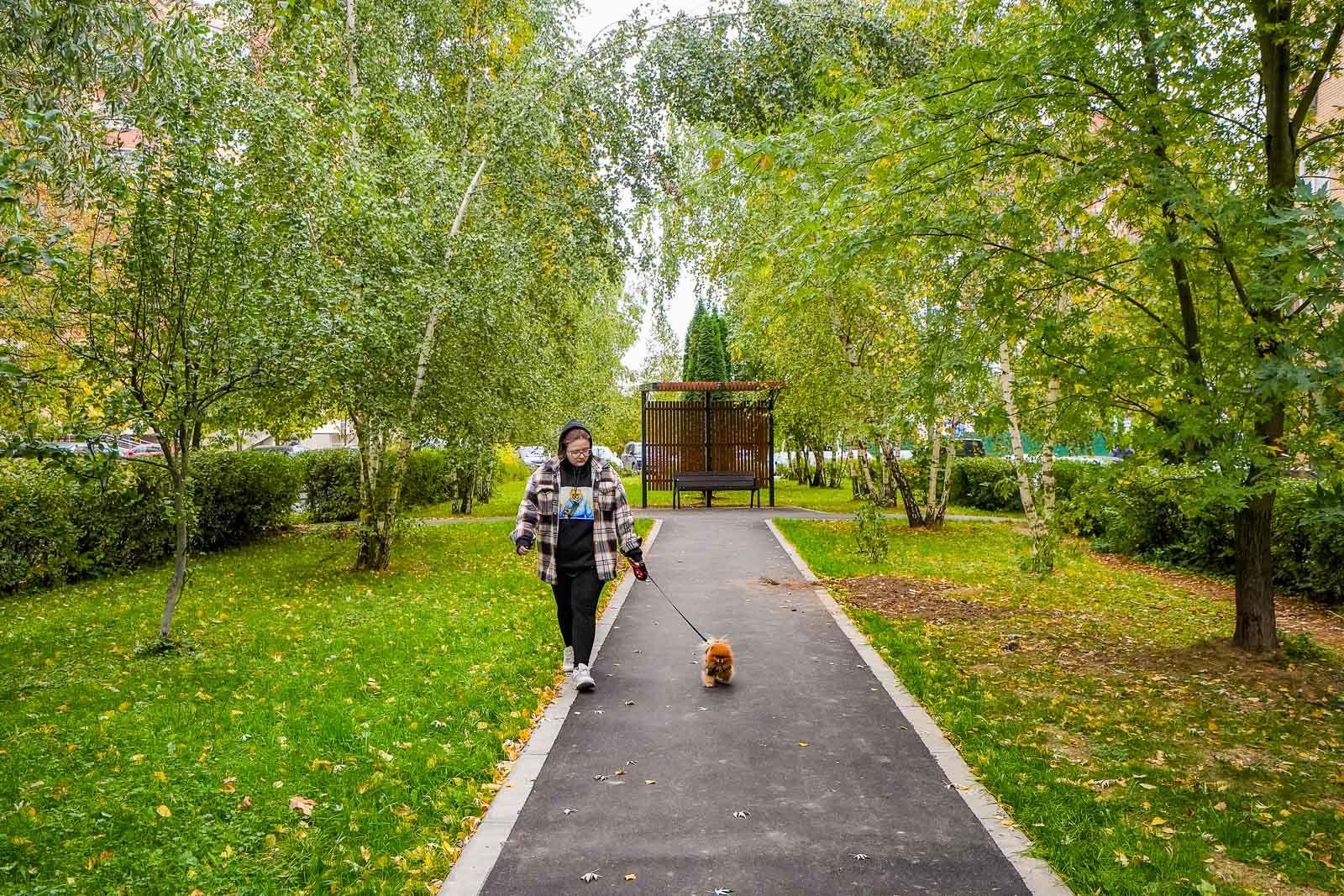 Каждый год в Москве обновляют и расширяют парковые территории Каждый год в Москве обновляют и расширяют парковые территории