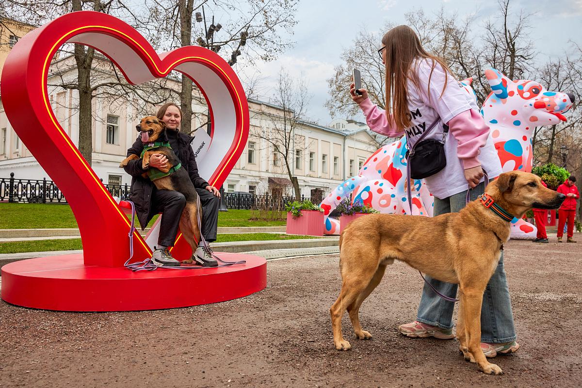 Событие Моспитомец × Четвероногий друг" включено в фестиваль "Пасхальный дар"