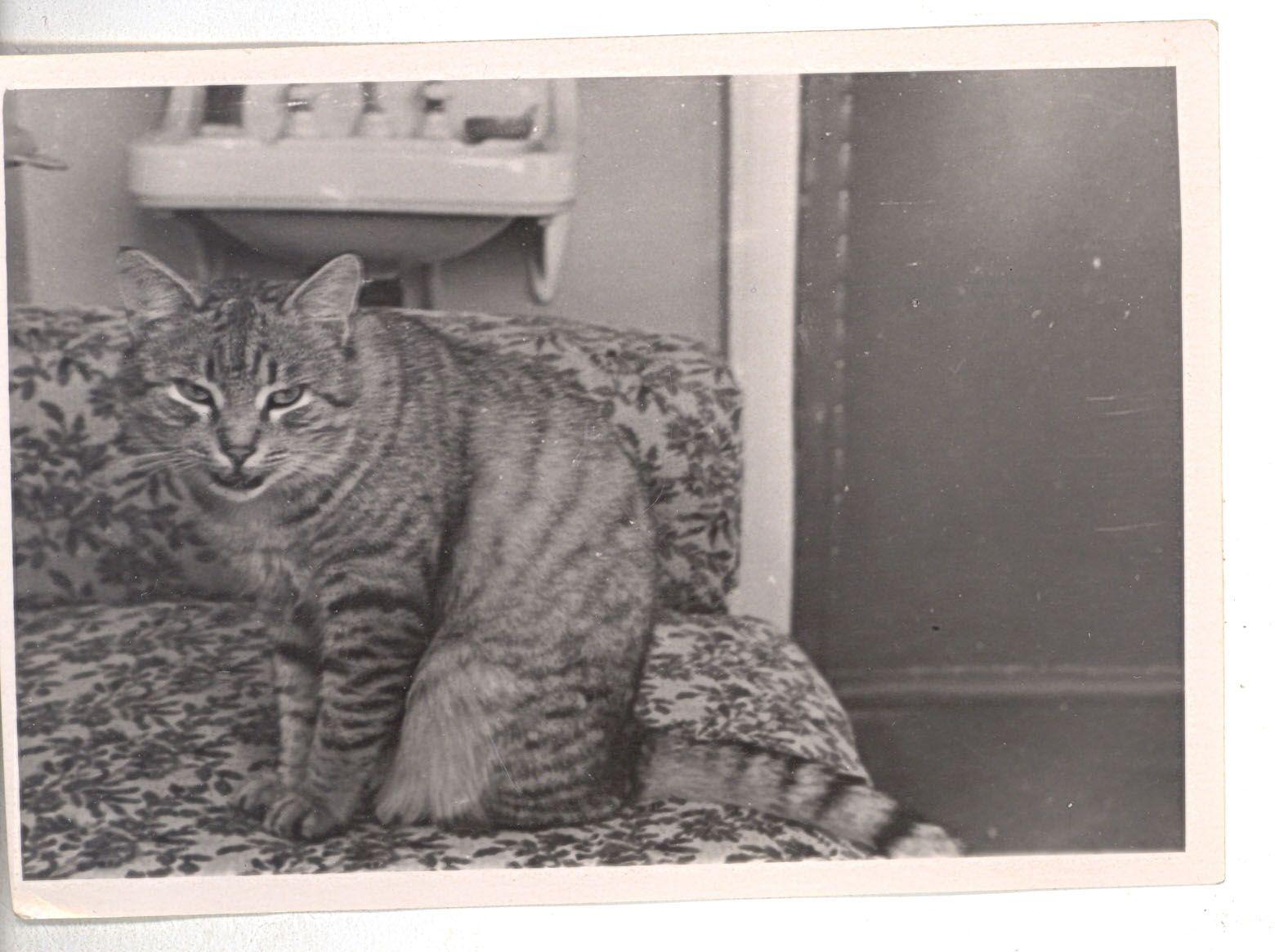 Один из снимков, сделанных лично Константином Паустовским