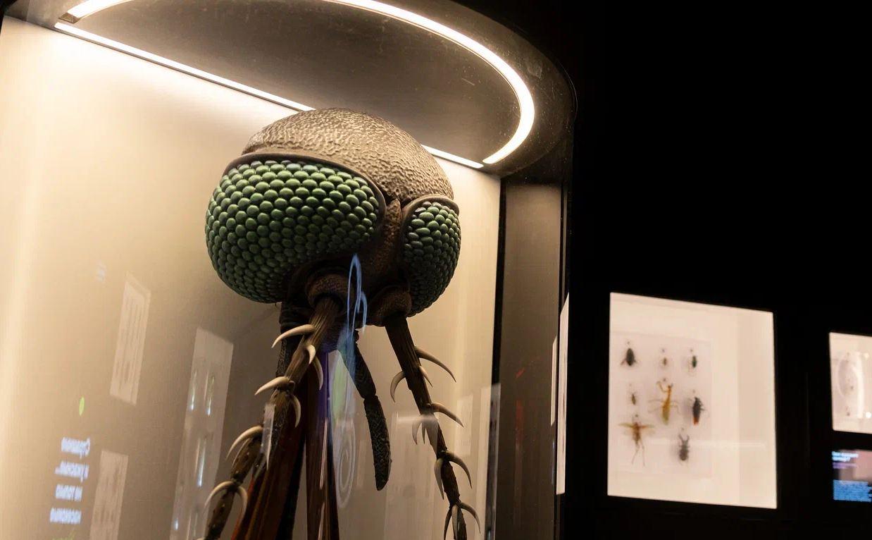 Модель комара в павильоне "Пчеловодство" на ВДНХ