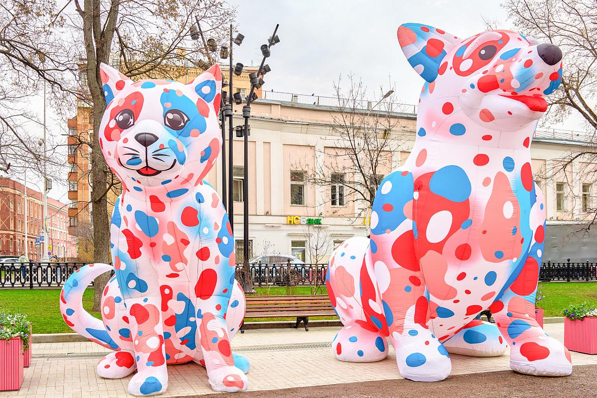 Москвичей приглашают на фестиваль "Моспитомец × Четвероногий друг" на Тверском бульваре Москвичей приглашают на фестиваль "Моспитомец × Четвероногий друг" на Тверском бульваре