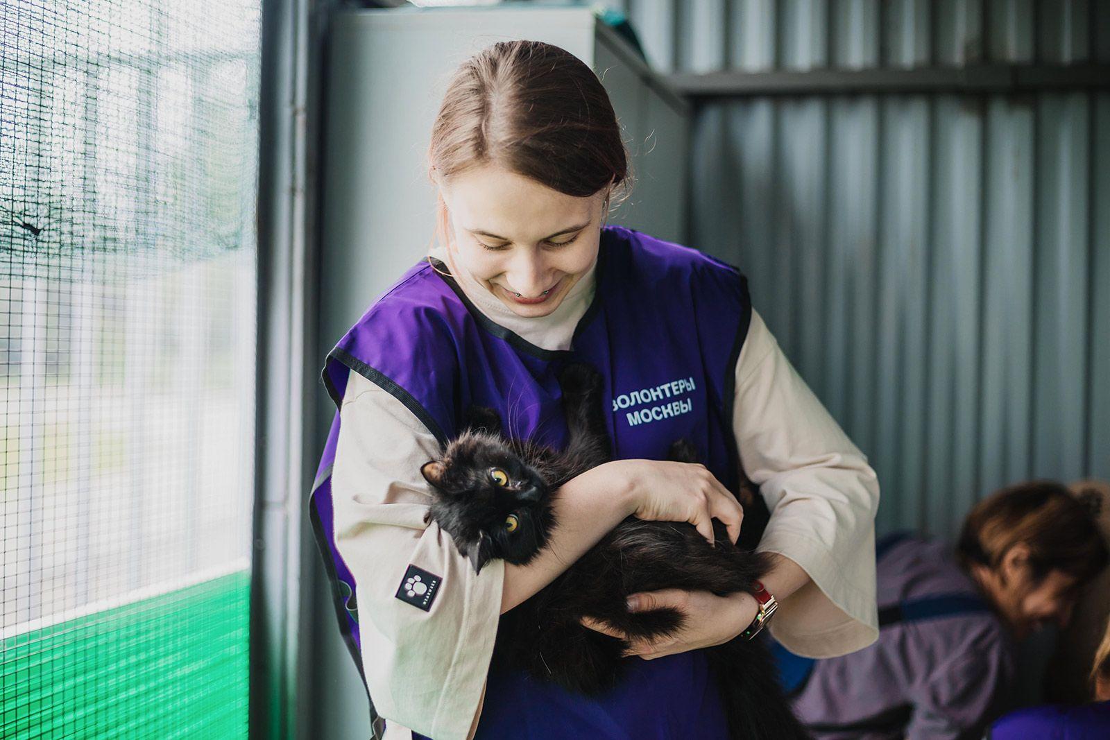 Москвичи-добровольцы могут помочь работникам приютов для животных
