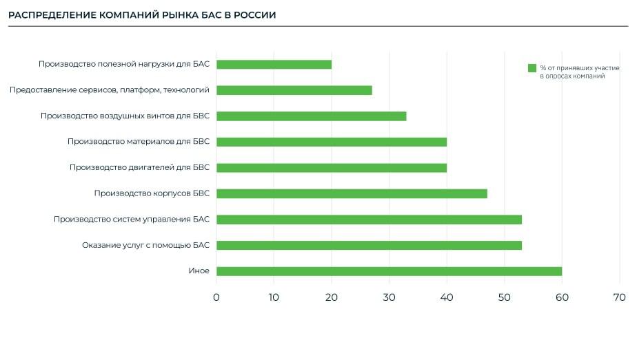 Рынок БАС в России: виды деятельности компаний