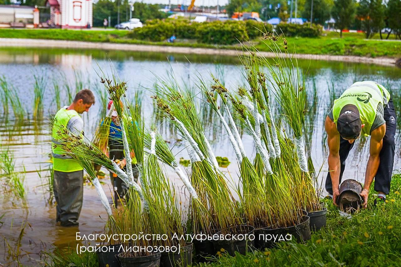 Вскоре в Москве будут должным образом благоустроены все водоёмы