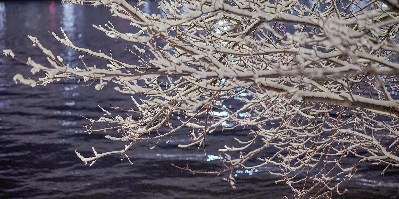 Конец апреля в Москве в этом году выдался снежным