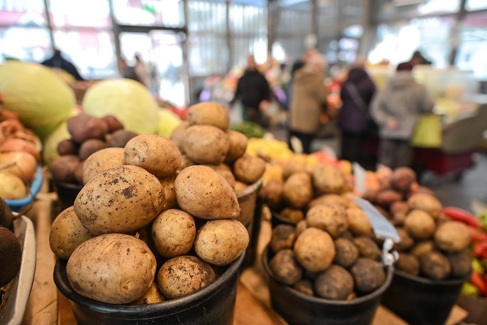 На московских ярмарках доступны продукты из 40 регионов России