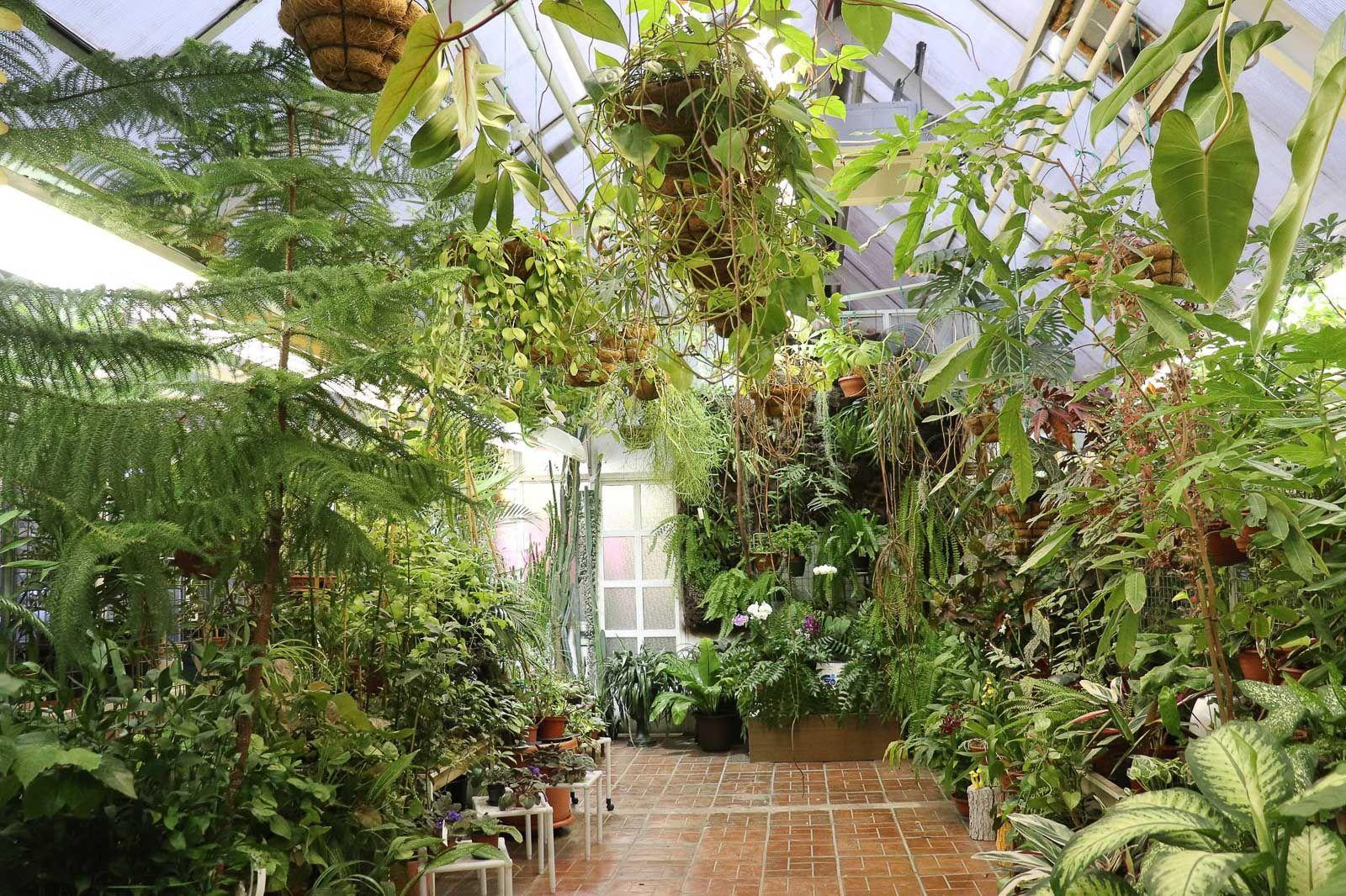 Выставка в биологическом музее имени Климента Тимирязева Выставка в биологическом музее имени Климента Тимирязева