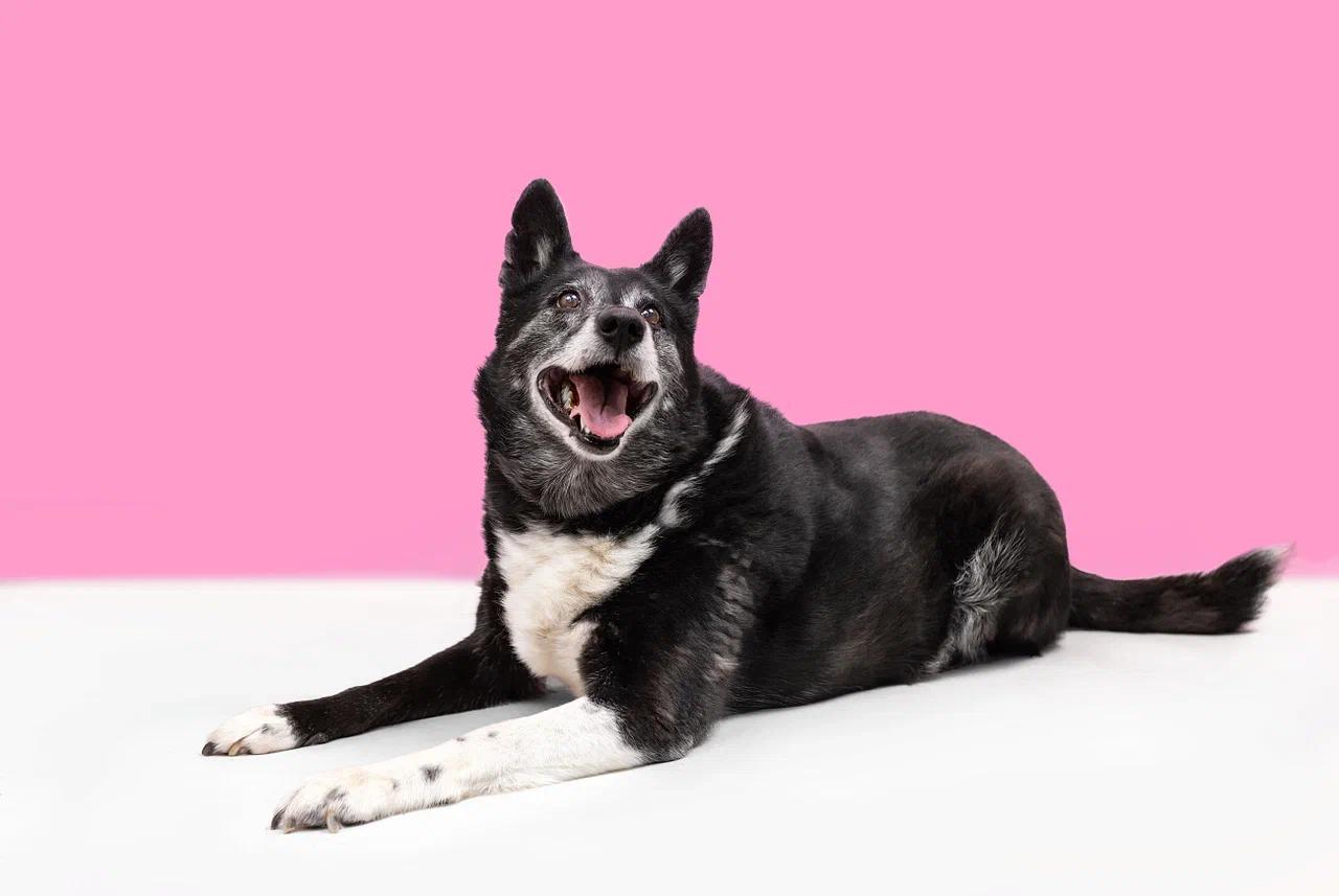 Фото: foto.mos.ru