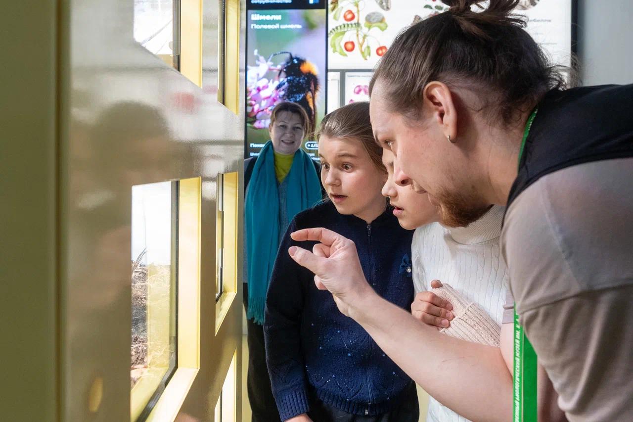 Посетители павильона №28 "Пчеловодство" на ВДНХ