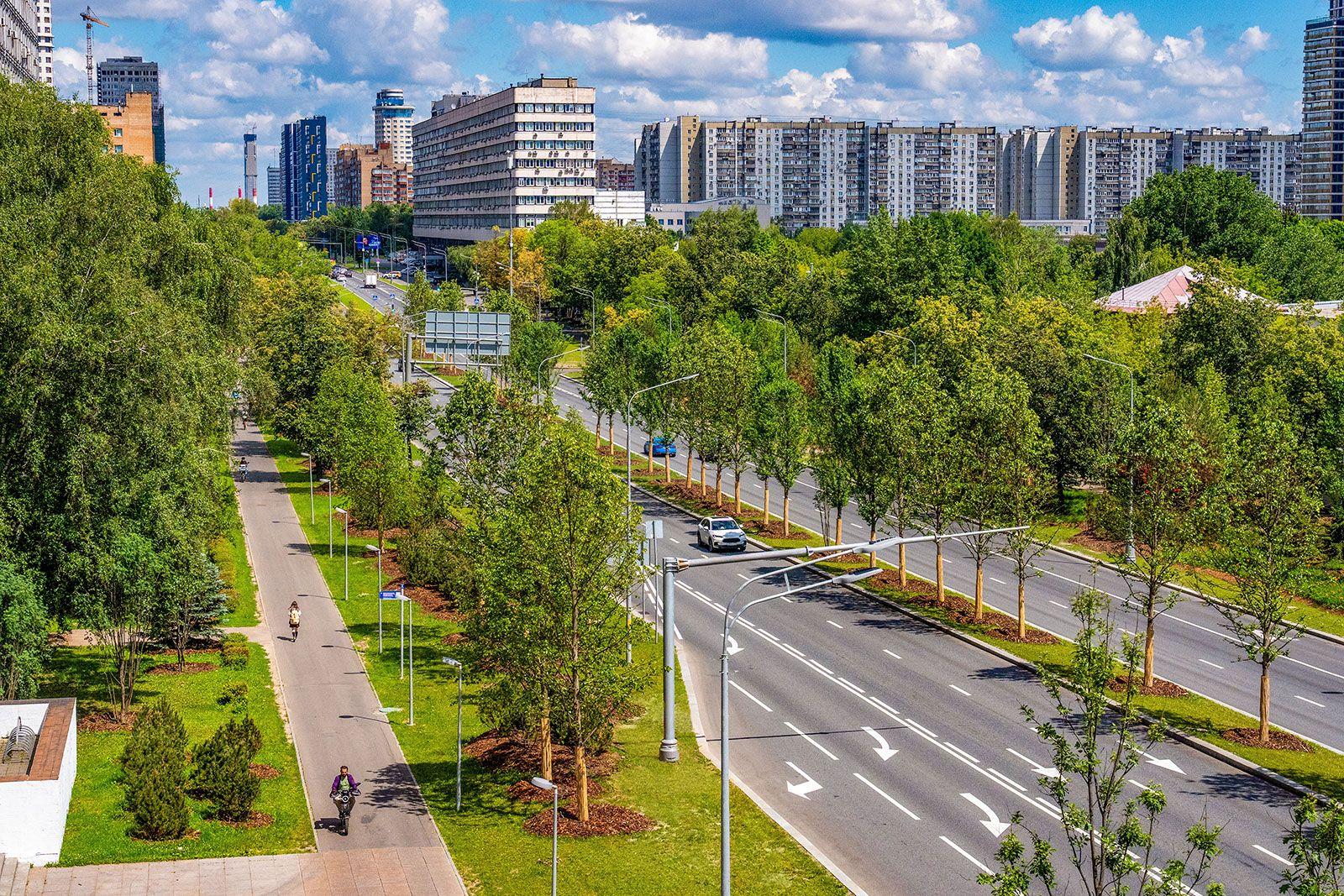 Озеленение Москвы способствует улучшению качества воздуха и снижению средней температуры летом Озеленение Москвы способствует улучшению качества воздуха и снижению средней температуры летом