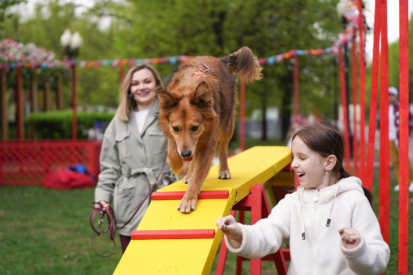 Москва регулярно проводит мероприятия для владельцев животных и создаёт для них инфраструктуру Москва регулярно проводит мероприятия для владельцев животных и создаёт для них инфраструктуру