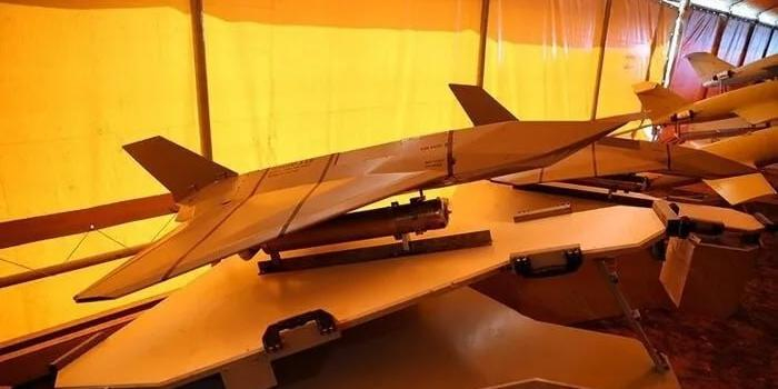 Иран впервые применил БПЛА "Хадид-110", испытанный вместе с Россией