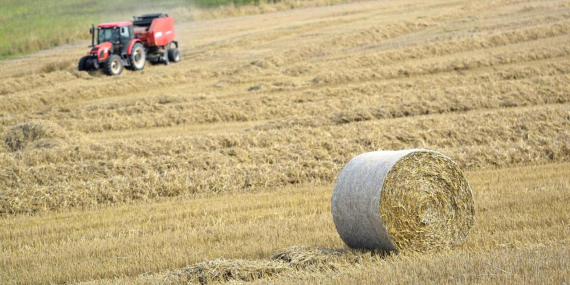 Российская компания Cognitive Pilot вошла в топ-5 сразу в девяти мировых рейтингах по ИИ