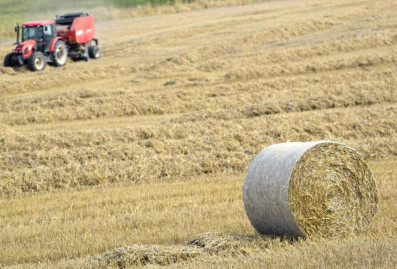 Российская компания Cognitive Pilot вошла в топ-5 сразу в девяти мировых рейтингах по ИИ