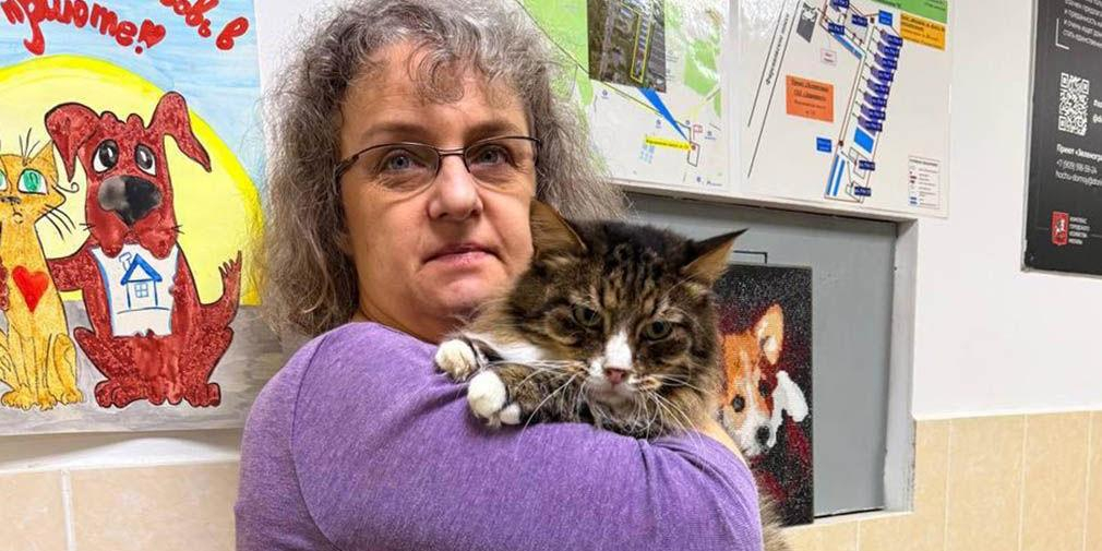 Москвичка выбрала котов через сервис "Моспитомец" в новогоднюю ночь