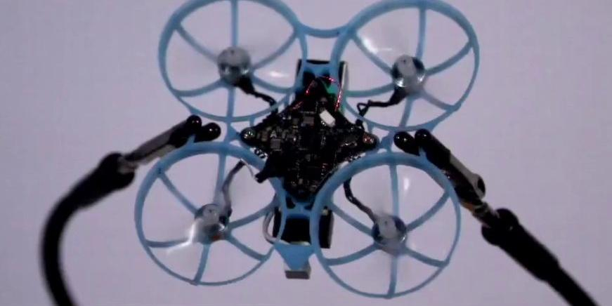 Создатель Ethereum Бутерин вложился в летающего "охотника" на насекомых Tornyol