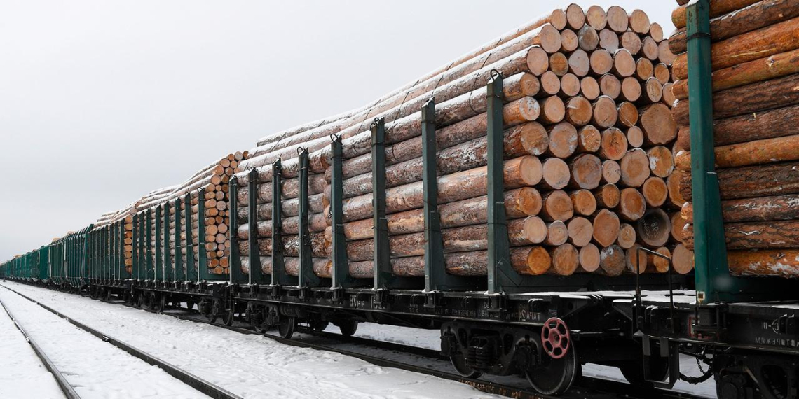Экспорт российского леса за год упал в 3 раза