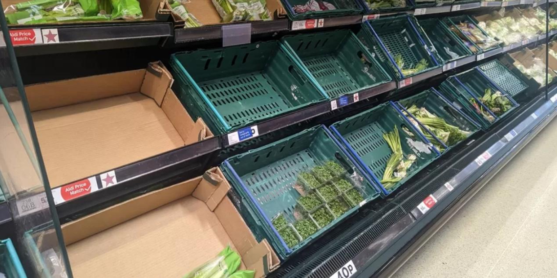 В Великобритании вводят ограничения на количество огурцов и помидоров, отпускаемых в одни руки