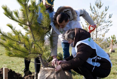 Седьмой сезон акции "Сад памяти" охватит рекордное число стран