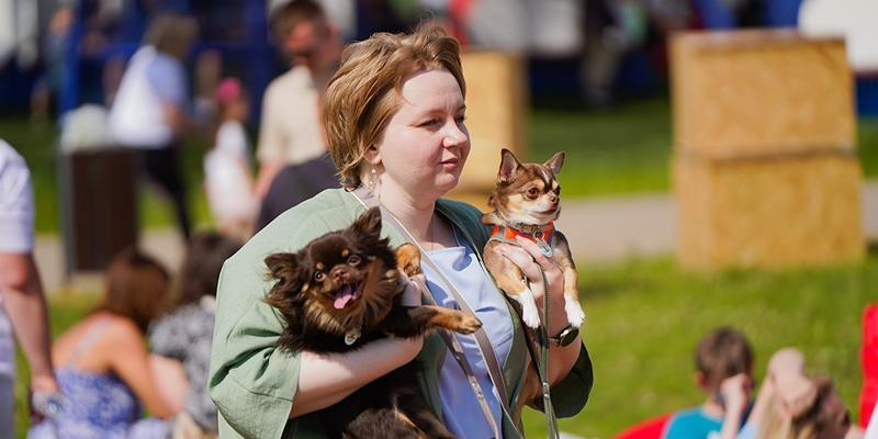 На mos.ru расширили возможности сервиса "Моспитомец"