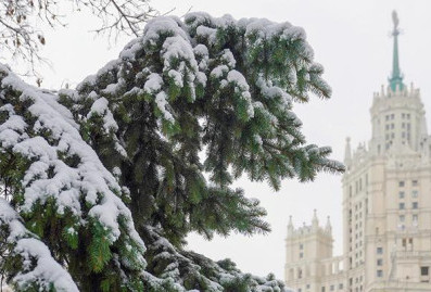 В департаменте ЖКХ Москвы рассказали о работе собственной метеорологической службы