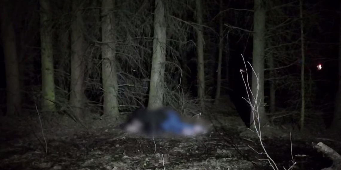 ФСБ предотвратила теракт на подмосковном оборонном предприятии