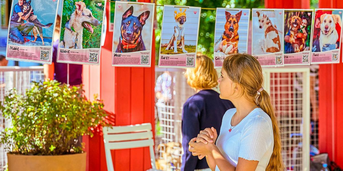 "Моспитомец" проведёт в центре Москвы мероприятие для любителей животных