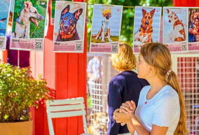 "Моспитомец" проведёт в центре Москвы мероприятие для любителей животных