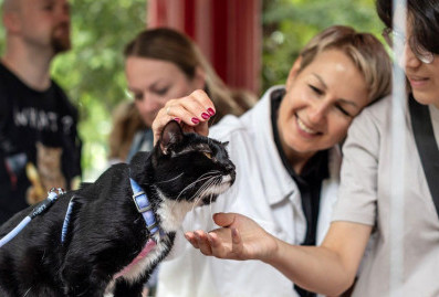 С 16 по 19 апреля в Москве пройдёт мероприятие "Моспитомец × Четвероногий друг"