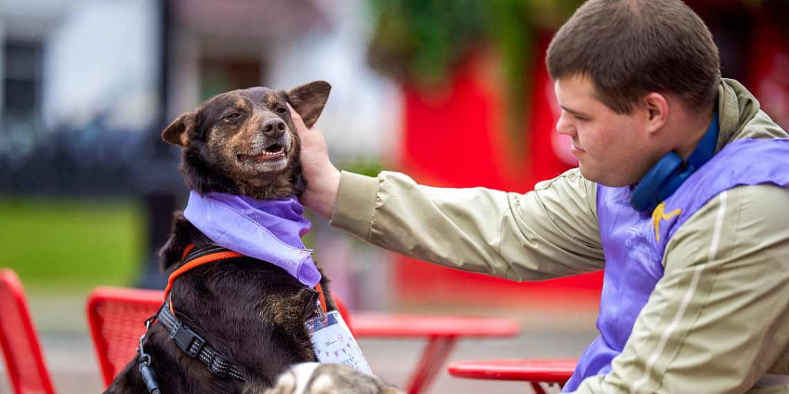 На Тверском бульваре в Москве открылся лекторий для владельцев домашних животных