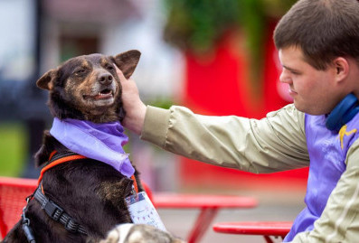 На Тверском бульваре в Москве открылся лекторий для владельцев домашних животных