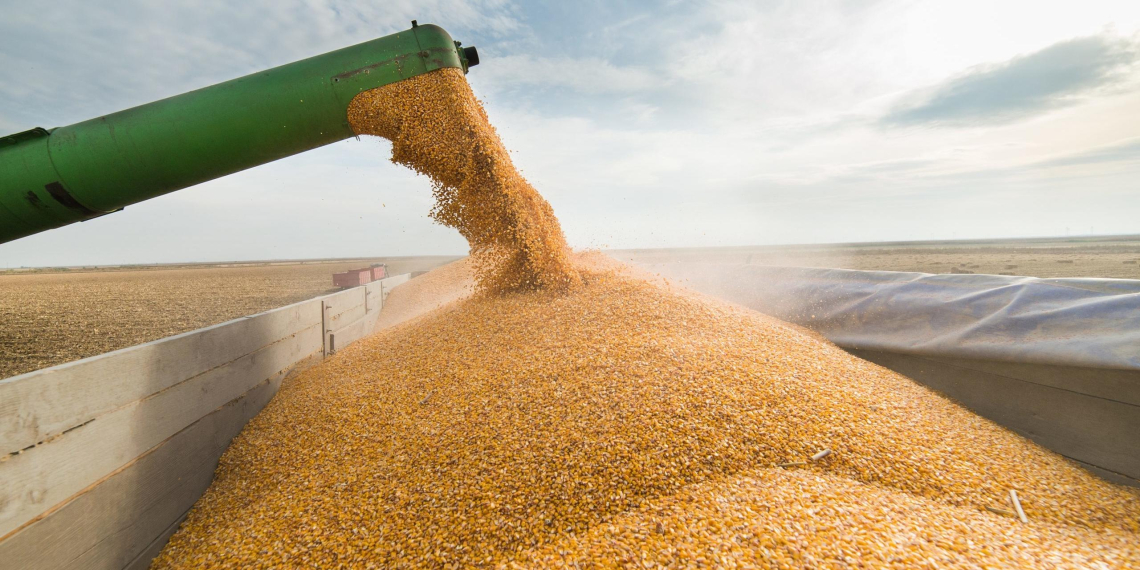 Украина захотела продлить "зерновую сделку" сразу на год и расширить географию