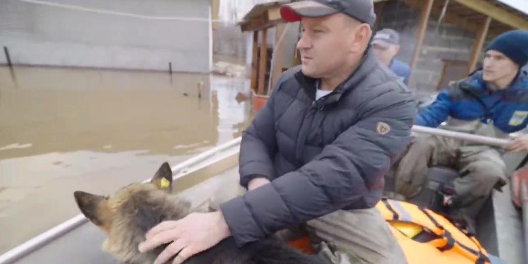 Кредитные каникулы, спасение имущества и компенсации: как Оренбургская область переживает наводнение 