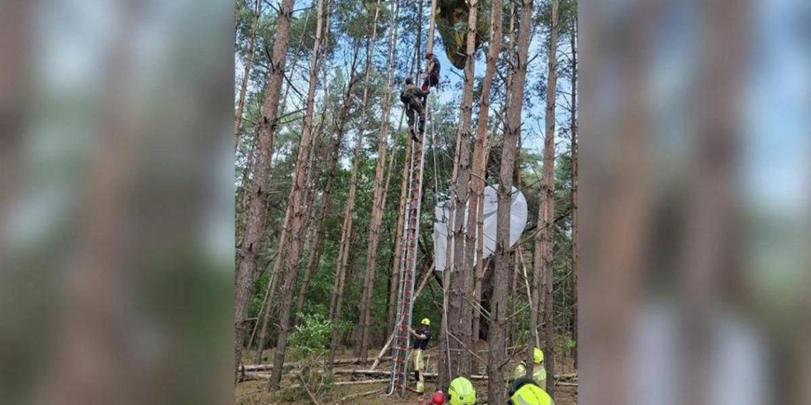 Пятерых парашютистов пришлось снимать с деревьев на учениях НАТО в Бельгии