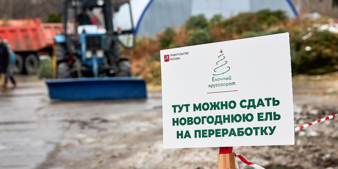 Москвичи сдали на переработку 14 тысяч елок в рамках акции "Елочный круговорот"