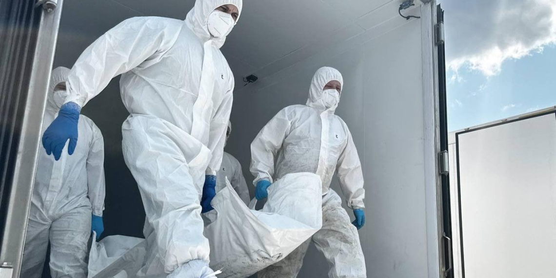 Россия передала Украине тысячу тел солдат ВСУ