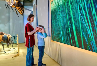 "Мосбилет" приглашает на интерактивные выставки и экскурсии для детей