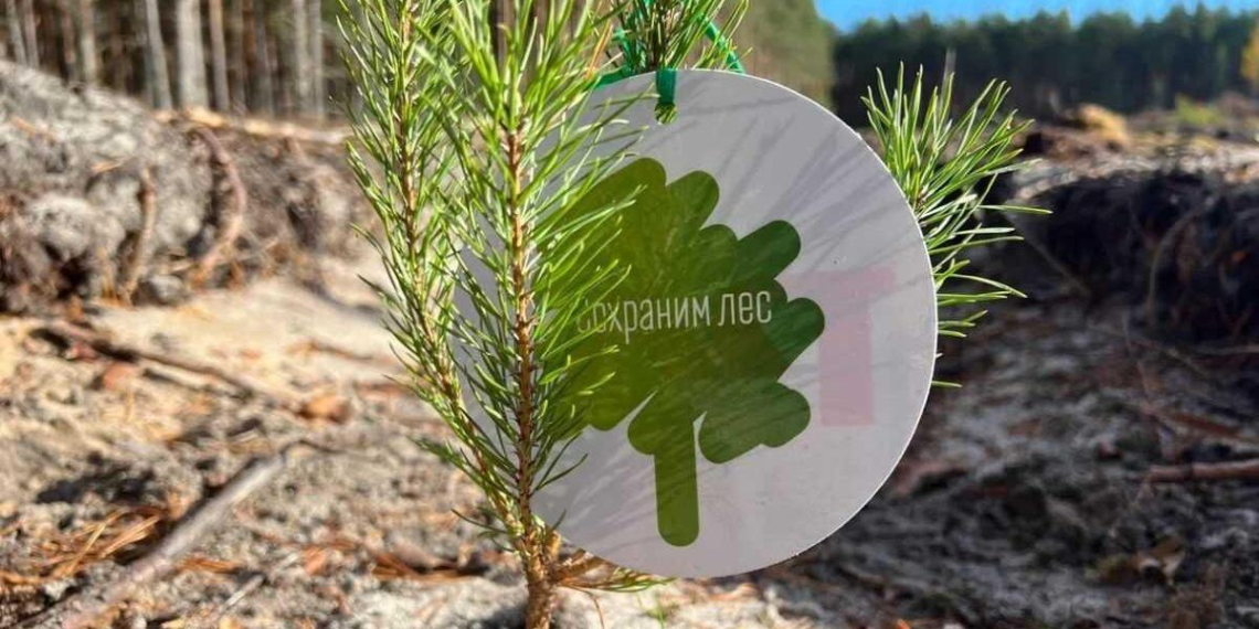 Путин направил телеграмму участникам "Сохраним лес" на старте восьмого сезона 