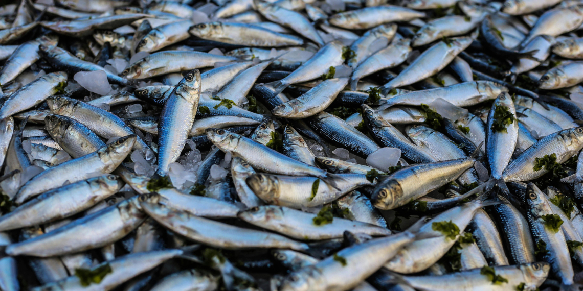 На минтай пришлось 12,2% потребления рыбопродукции в России