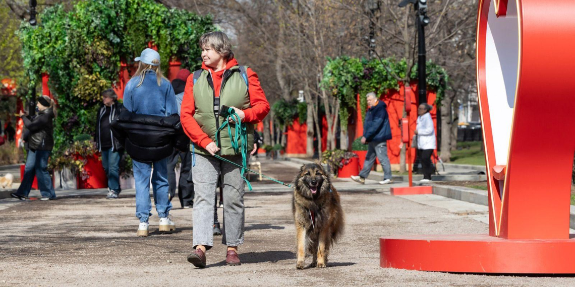 На мероприятии "Моспитомец × Четвероногий друг" нашли хозяев для 51 животного