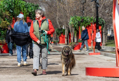 На мероприятии "Моспитомец × Четвероногий друг" нашли хозяев для 51 животного