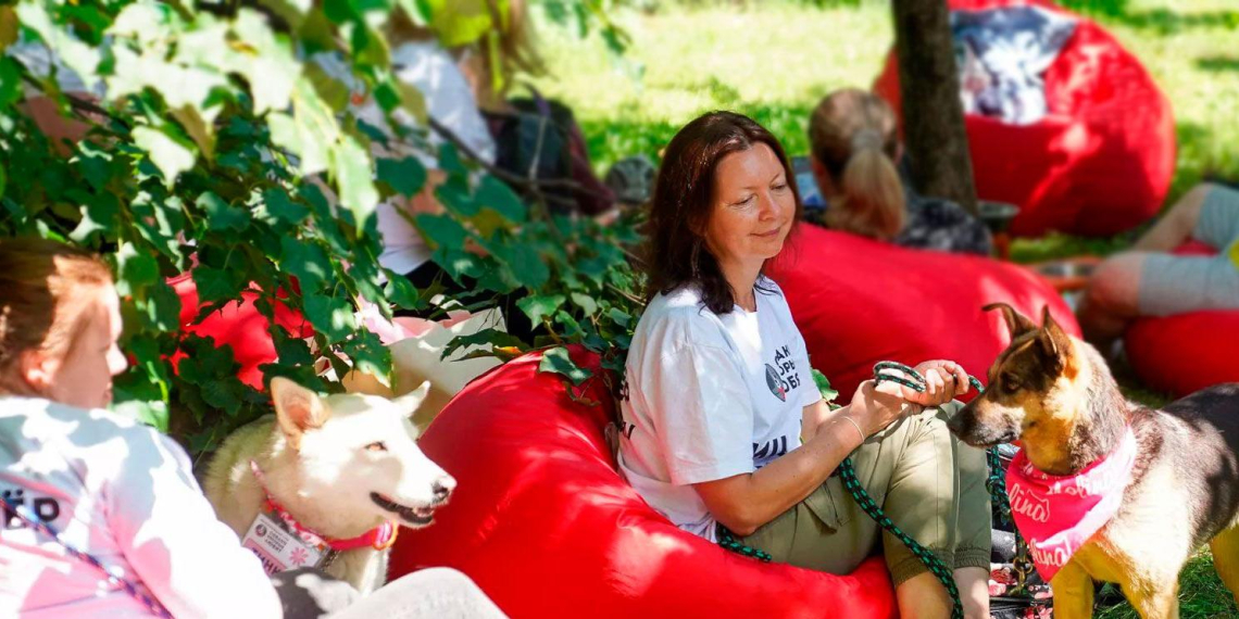 "Моспитомец" будет востребован у москвичей – представитель городских приютов